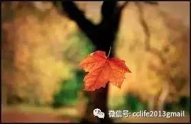 20170321132223.jpg