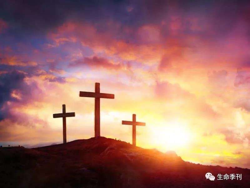 Luke 19 1-10 Zacchaeus meets Jesus.webp