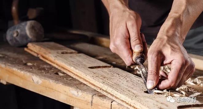carpenter.jpeg