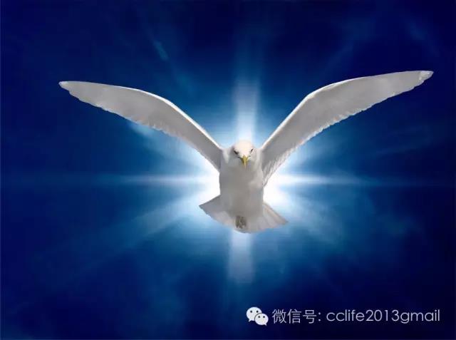 c999c52.jpg