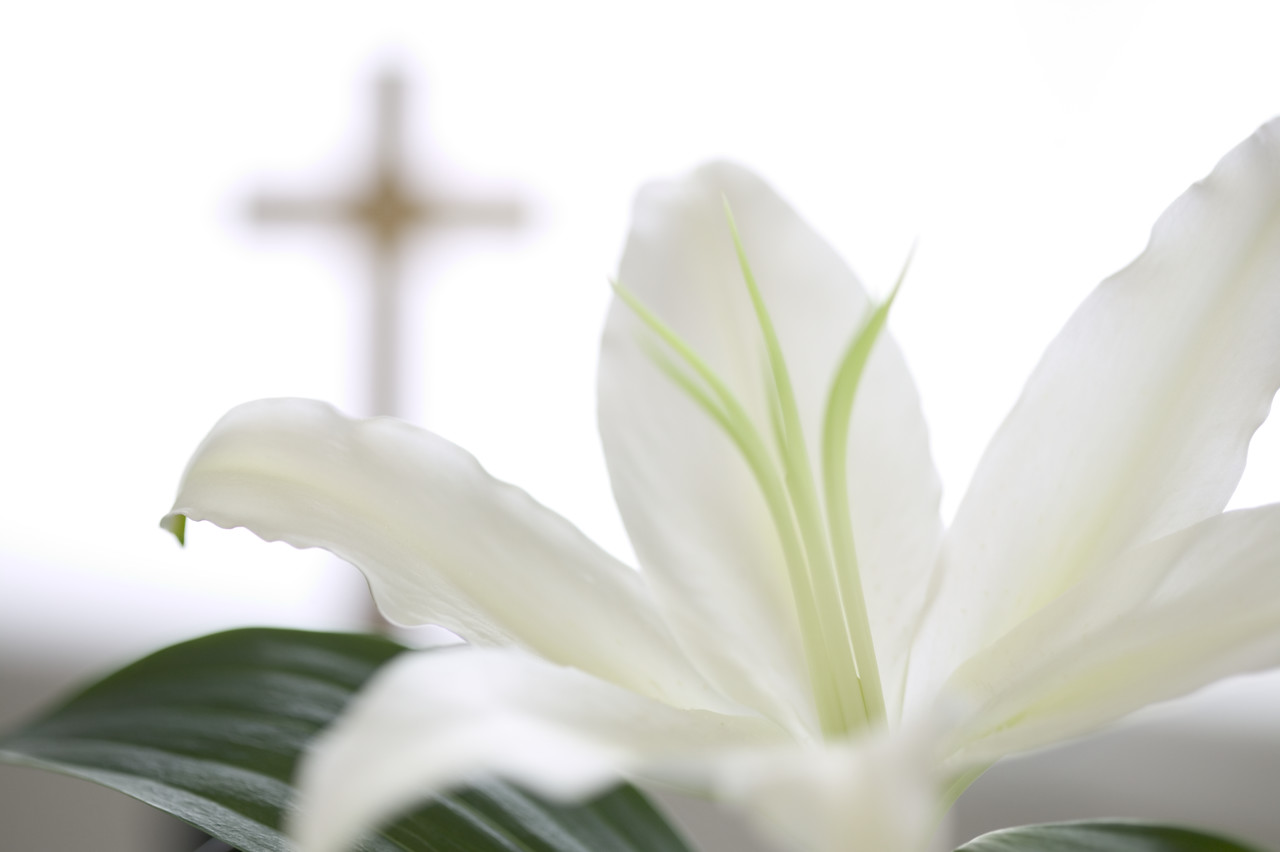 easter-lily cross.jpg