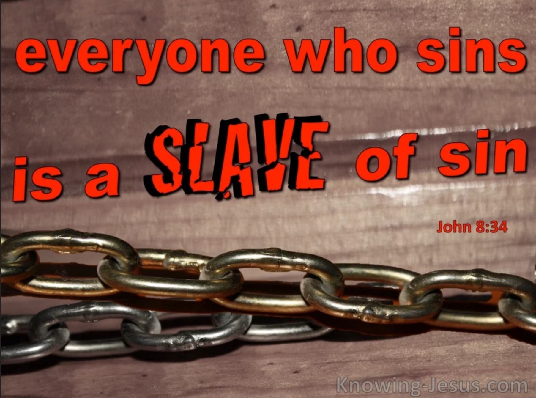 sins slave.jpg