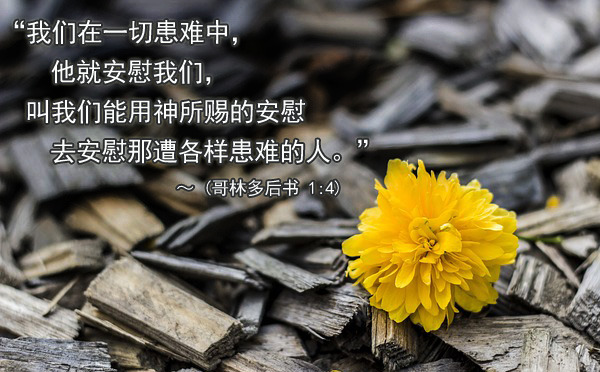 安慰 - Copy 1.jpg