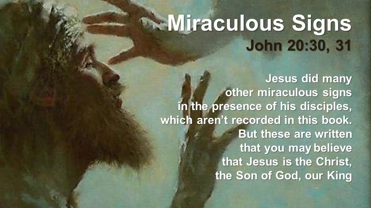 John 20 30 31.jpg
