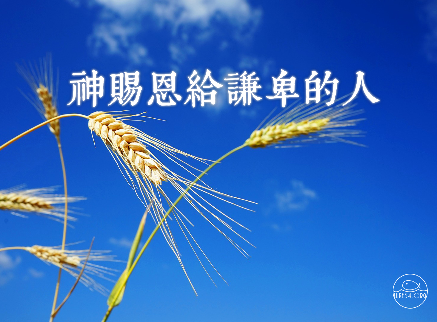 humble 谦卑.jpg