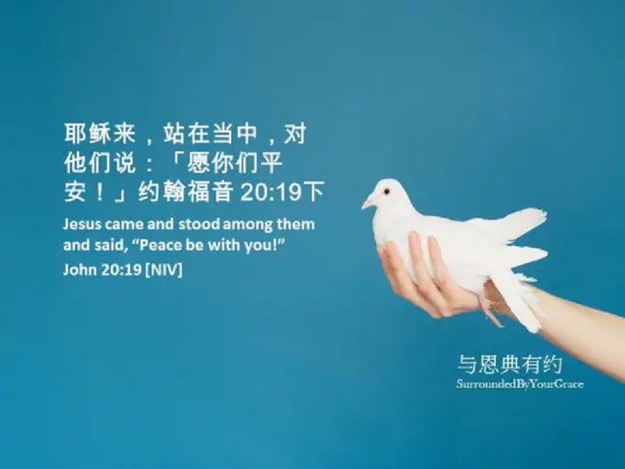 john 愿你们平安.jpg