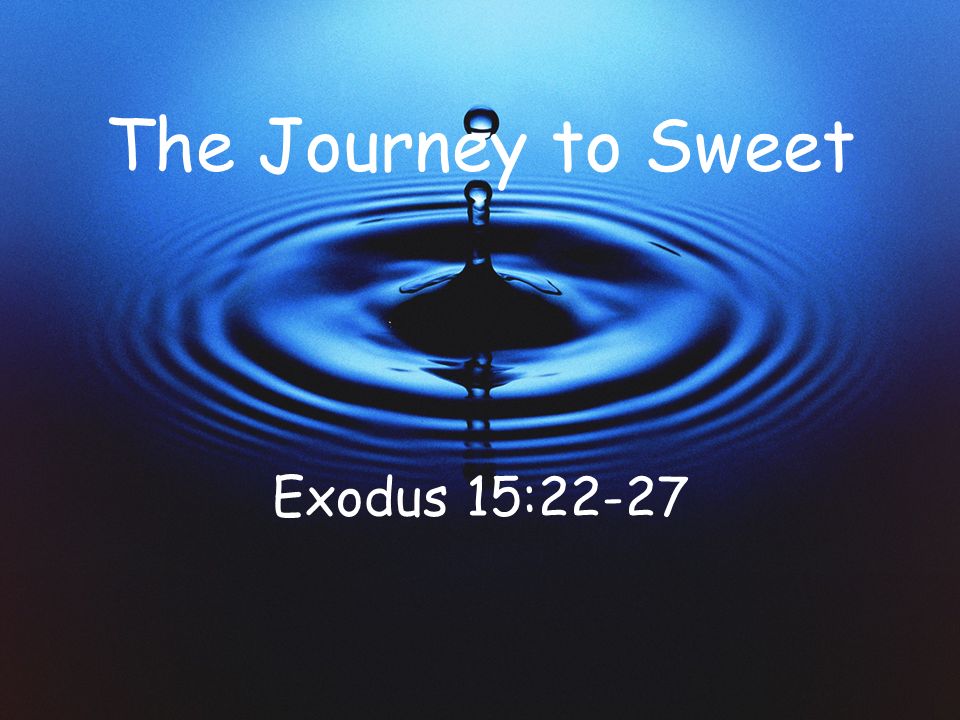 journey to sweet.jpg